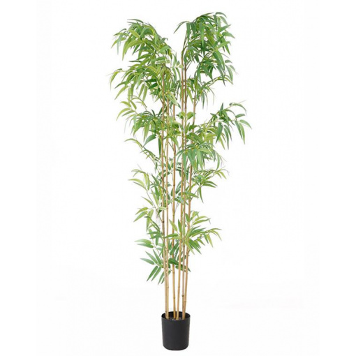 BAMBOO NP5801_180_22_UV ΥΨΟΣ 180cm NewPlan