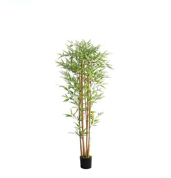 BAMBOO NP0075_180 ΥΨΟΣ 180cm NewPlan
