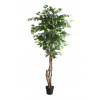 FICUS TREE NP5208_150 ΥΨΟΣ 150cm NewPlan
