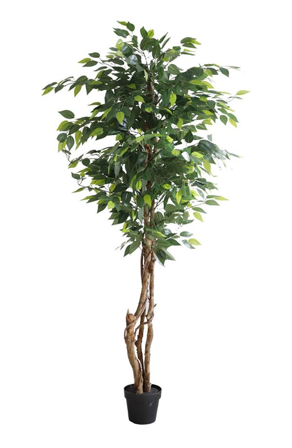 FICUS TREE NP5208_150 ΥΨΟΣ 150cm NewPlan
