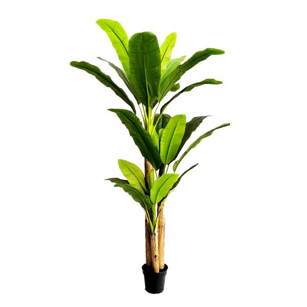 BANANA TREE NP017_240_22 ΥΨΟΣ 240cm NewPlan