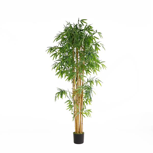 BAMBOO NP0076_210 ΥΨΟΣ 210cm NewPlan