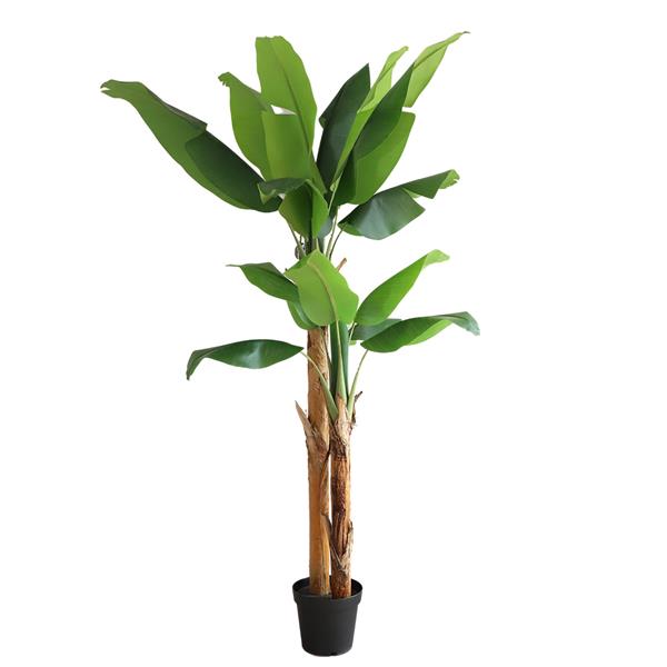 BANANA TREE NP708_220 ΥΨΟΣ 220cm NewPlan