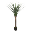 AGAVE TREE NP802_160 ΥΨΟΣ 160cm NewPlan